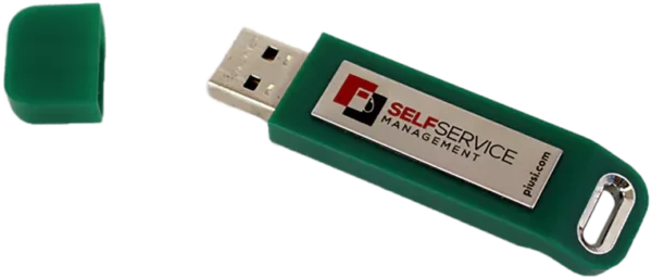 PUISI Self Service Management 2018 - clé USB