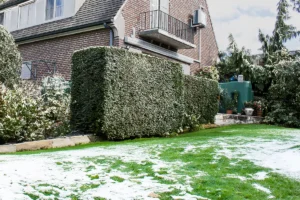 recuperateur_d_eau_de_pluie_resistant_au_gel_2-39da5471