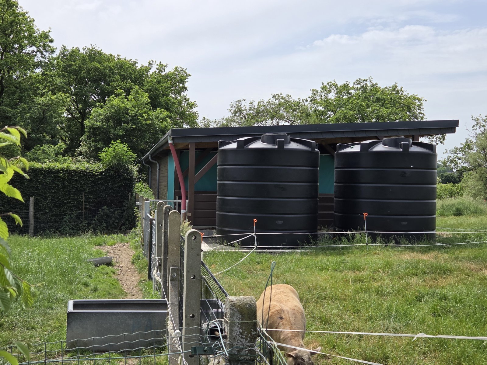 Deux citernes à eau aériennes rondes de 10 000 litres jumelées sous un auvent dans une prairie